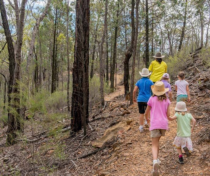 Students and park ranger on Pilliga Discovery Tour, Timallallie Pilliga National Park