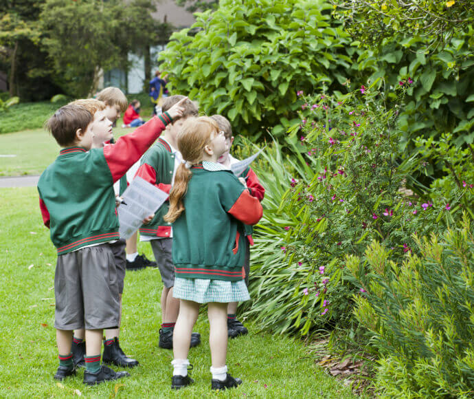 "A group of young children wearing green and red uniforms are standing on a grassy area, observing and pointing at a bush with pink flowers. The children appear to be on a nature exploration or educational activity in a garden or park with lush greenery in the background.