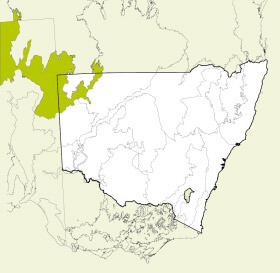 Map of New South Wales, Australia, highlighting the Simpson-Strzelecki Dunefields bioregion in green. The rest of the state is shown in white, with some geographical features like rivers and mountain ranges outlined.