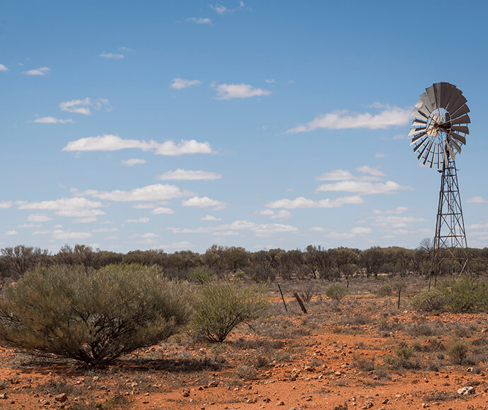 A photo of the grounds of Narcowla Cottage in Corner Country, Sturt National Park. A windmill stands prominently on the outback rocky land with vegetation, under a clear sunny sky with scattered clouds.