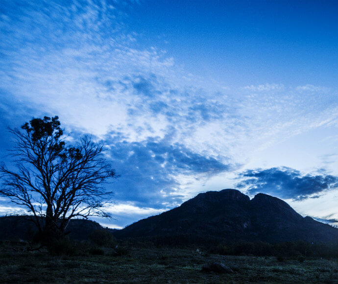 Warrumbungle National Park - The name Warrumbungle is a Gamilaroi word meaning crooked mountains. The trees and mountains are silhouetted against a dark blue sky, which is partially filled with small, cotton-like clouds.