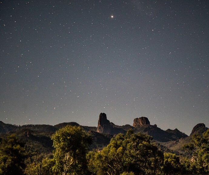 A clear night sky over Warrumbungle National Park, with two-thirds of the photo filled with shining stars. The bottom third featuring vegetation and mountains, creating a striking contrast against the starry sky.