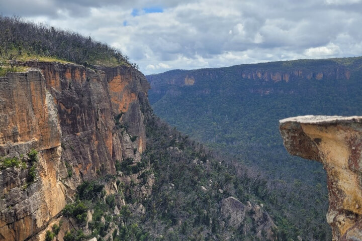 A high view across a thickly treed valley to the ridge on the other side, with rocky outcrops in the foreground