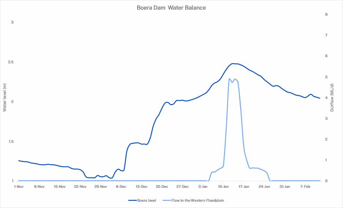 Boera Dam water balance graph 7 February 2025 showing flows to the Western Floodplain in light blue and Boera Dam water levels in dark blue.