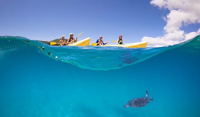 Two people are enjoying a peaceful paddle in two bright yellow kayaks on the water while a majestic sea turtle gracefully swims below in the Cape Byron State Conservation Area.