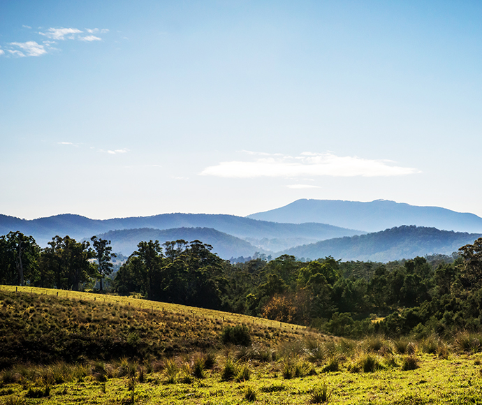 Biamanga National Park