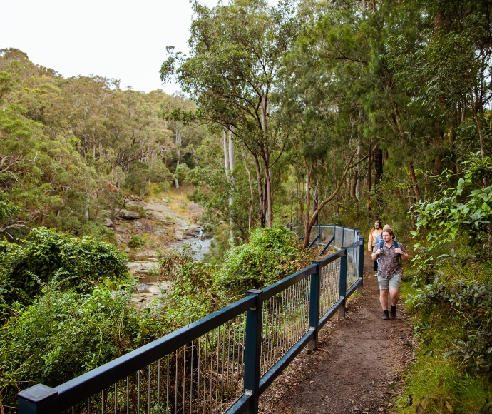 People walking on Yuelarbah Track, Glenrock State Conservation Area