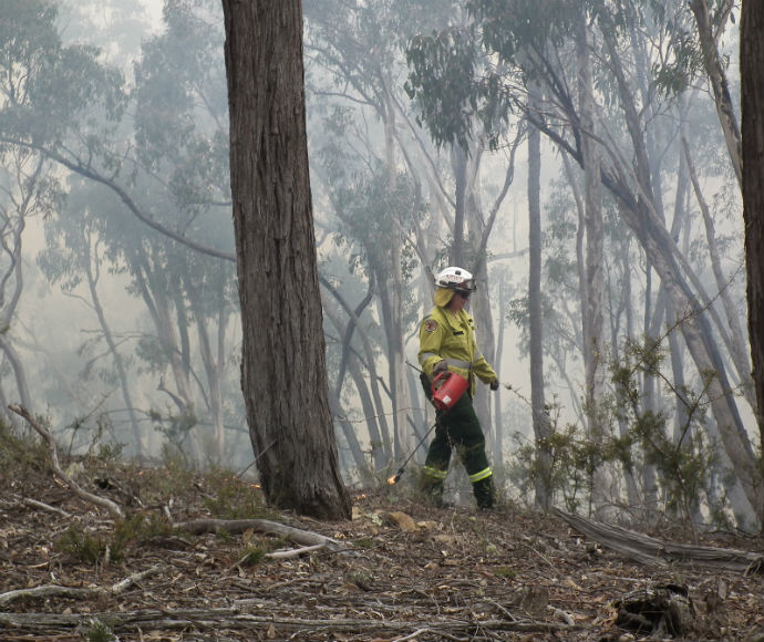 Hazard reduction burn in Abercrombie River National Park