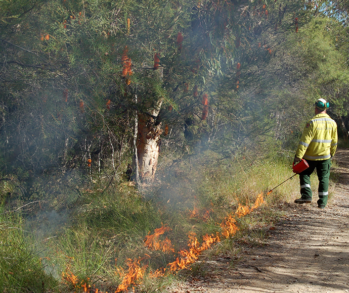 Hazard reduction burn - drip torch