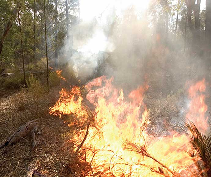 Hazard reduction burn along Top Crossing Road