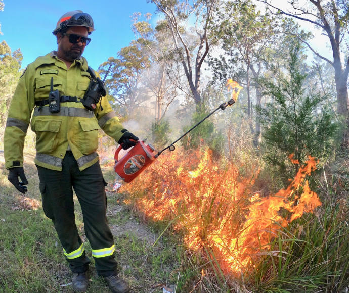 A National Parks and Wildlife Service ranger lighting a fire along a line of low scrub and grass, trees in the background