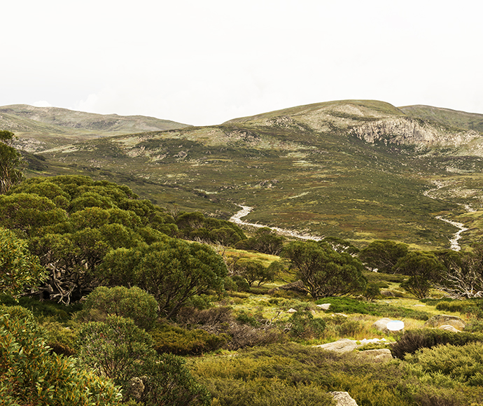 Charlottes Pass lookout, Kosciuszko National Park