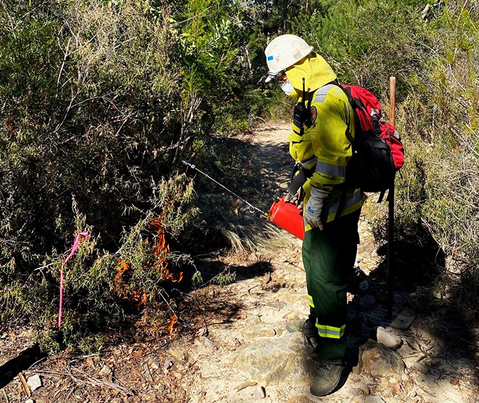 Porto Hazard reduction Burn, Kuring-gai-chase National Park, August 2021.