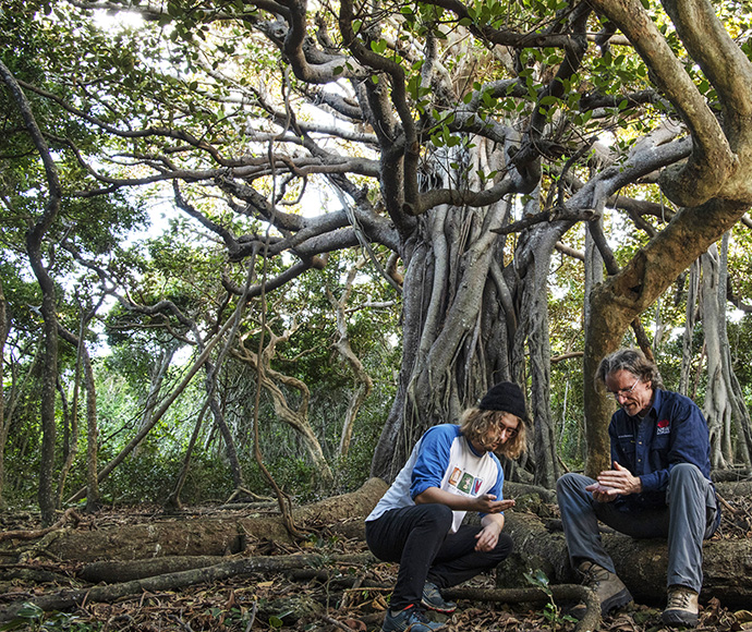 Two people sitting under trees holding something in their hands looking at it together