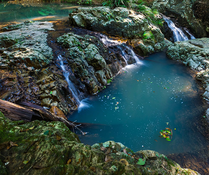 Mount Jerusalem National Park, Tweed Byron Hinterland Trails, Unicorn Falls