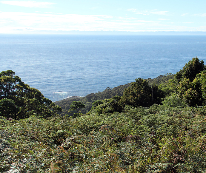 Murramarang National Park, Durras Mountain Walk, above Pebbly Beach area