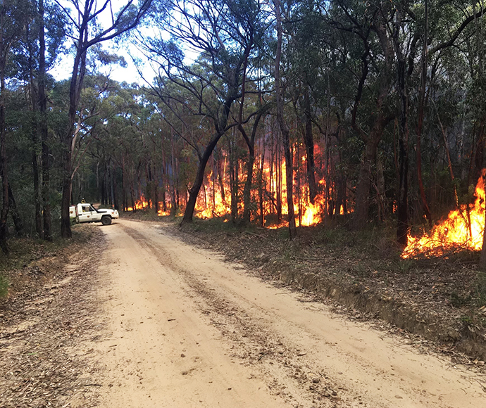 Hazard reduction burn in Parr State Conservation Area | Media release ...