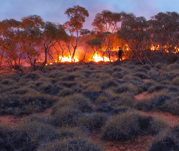 Cool cultural burn in Rick Farley Reserve in NSW's far west