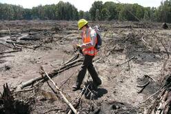 Person wearing high-vis vest and hard hat looking at a GPS while walking in an area of cleared land with fallen broken trees