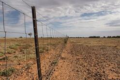 In addition to the wire fence, the image shows a dry, rocky landscape with sparse vegetation. The ground is covered in small rocks, and the sky appears partly cloudy. The fence extends into the distance, dividing the landscape.