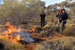 Fire and Cultural Science Team initiating a Cultural burn 