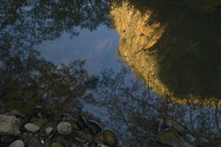 Reflection of a sunlit cliff and trees in still water, with various-sized rocks in the foreground.