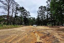 Muddy road with white vehicle in distance, trees on either side