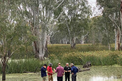 Murray and Lower Darling EWAG members at the edge of a beautiful Boomanoomana Swamp with long rushes and grasses growing out in patches and forested wetlands in the background.