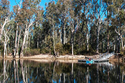 Man in blue kayak next to Edward River Bridge of Murray Valley Regional Park, with trees reflected in water