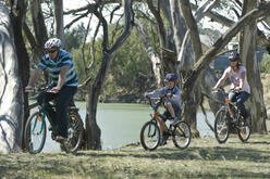 Family riding bikes at Yanga National Park