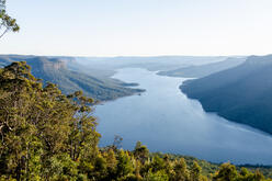 Body of water surrounded by trees