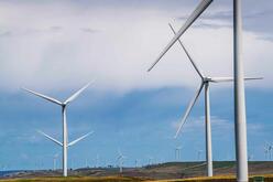 Windmills in green field