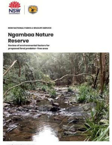 Ngambaa proposed feral predator–free area: review of environmental factors cover image